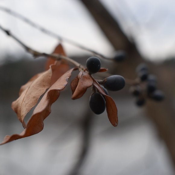 Hey there! - Picture 1 of 1